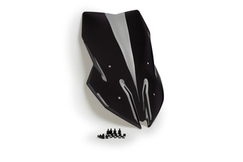 Szyba turystyczna PUIG do BMW F900XR 20-25